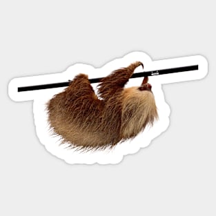 Sloth / Swiss Artwork Photography Sticker